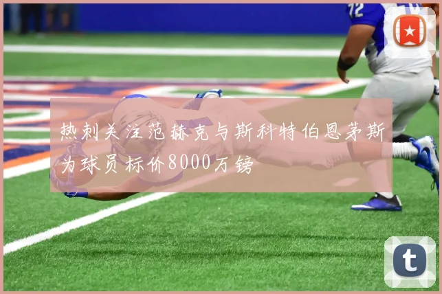 热刺关注范赫克与斯科特伯恩茅斯为球员标价8000万镑