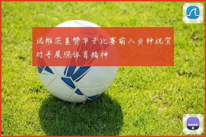 诺维茨基赞华子比赛前八分钟祝贺对手展现体育精神