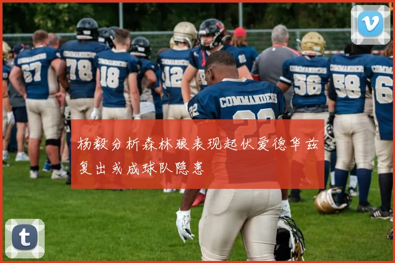 杨毅分析森林狼表现起伏爱德华兹复出或成球队隐患