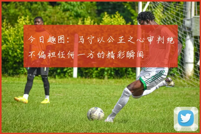 今日趣图：马宁以公正之心审判绝不偏袒任何一方的精彩瞬间
